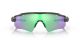 Oakley Radar EV Path Steel/Prizm Road Jade