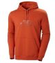 Felpa con Cappuccio Unisex Nord Graphic Pullover Hoodie - Helly Hansen